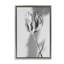 Cadre flottant Pale Requiem Tulip, design par Amy Carroll-136818896-136818897