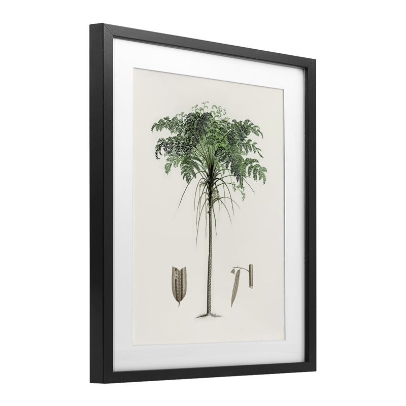 «Vintage Palm Tree Study», impression par CAD encadrée, Cadre noir minuit, H 16 po x l 13 po