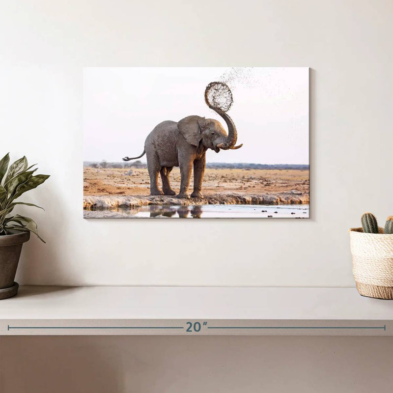 Brampt Elephant Mud Splash, 8" H x 12" W
