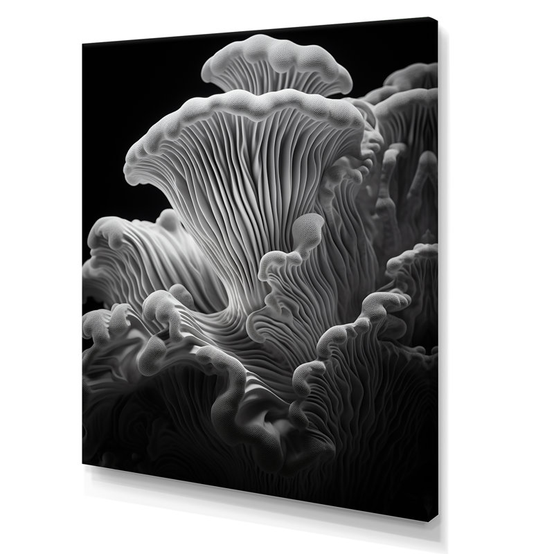 Noir et blanc, corail, anémone Royaume II - plage et océan, art mural sur toile, Toile tendue, H 32 po x l 24 po x P 1 po