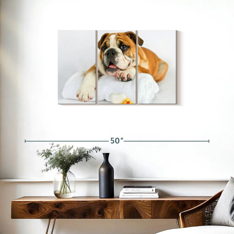 Brampt Donald I, 20" H x 33" W