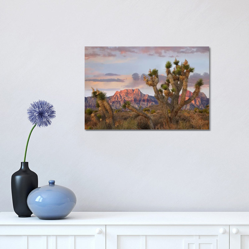 Joshua Tree and Spring Mountains at Red Rock Canyon National Conservation Area near Las Vegas, Nevada 1 Piece Wrapped Canvas Wall Art