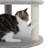 Enzlee 61'' H Cat Tree-680333068
