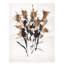 Sepia Florals IV Print by Paul Ngo-26726909-26726910