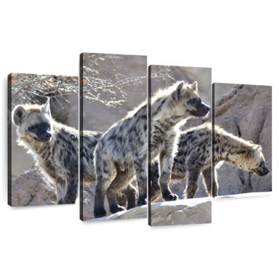 Cackle of Hyenas