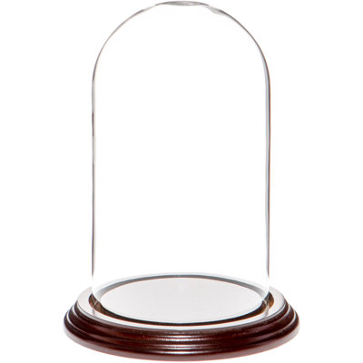 Cloche en verre 4 "x 7" Jenett