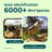 Birdfy Smart Bird Feeder Camera Solar Powered, Auto Capture Birds & Notify in Time, Bamboo Wood Bird Feeder Camera (Lite)