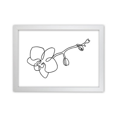 Orchid - Print