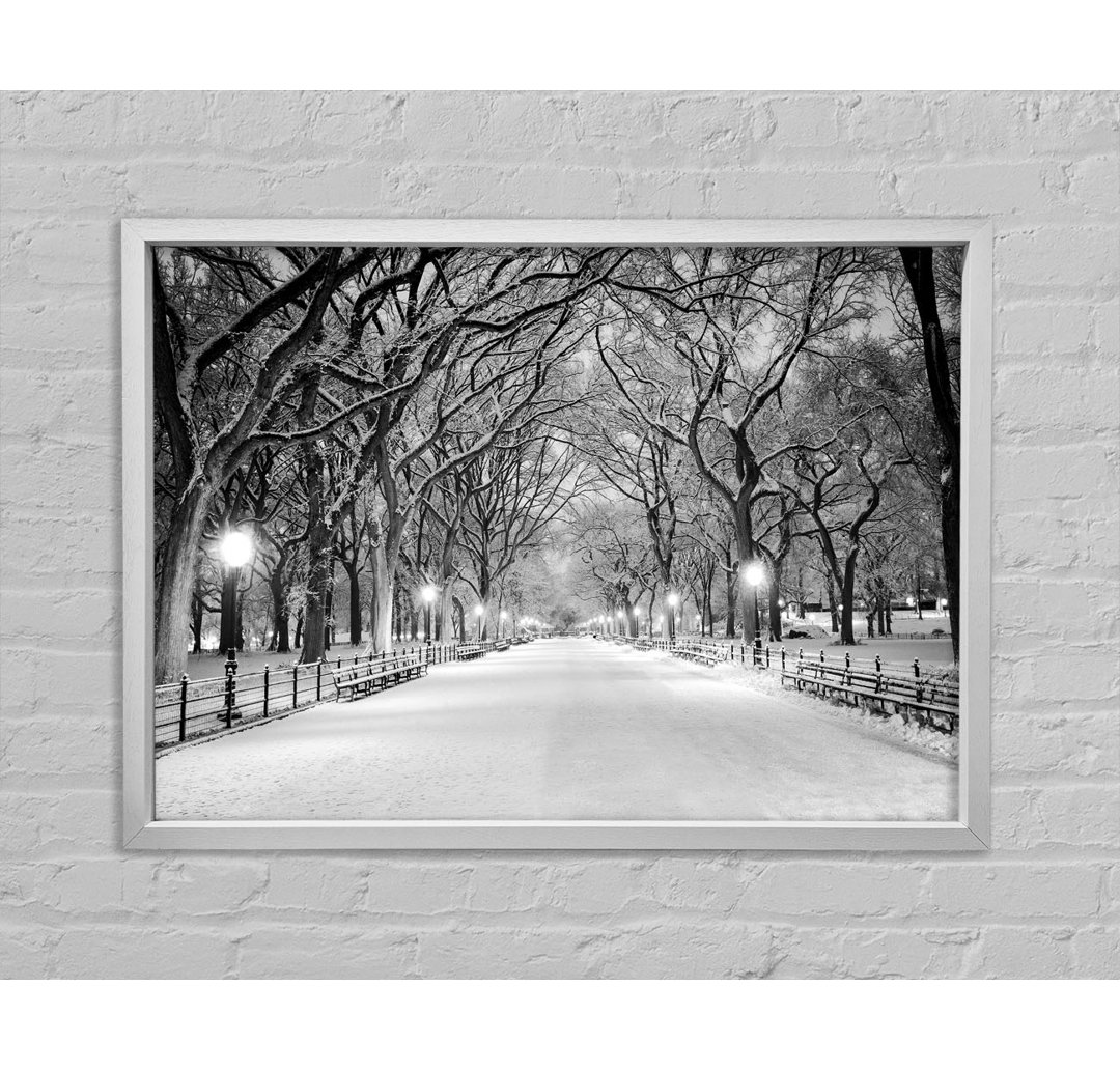 Winterspaziergang durch den Central Park - Einzelne Bilderrahmen Kunstdrucke auf Leinwand