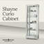 Shayne Lighted Curio Cabinet
