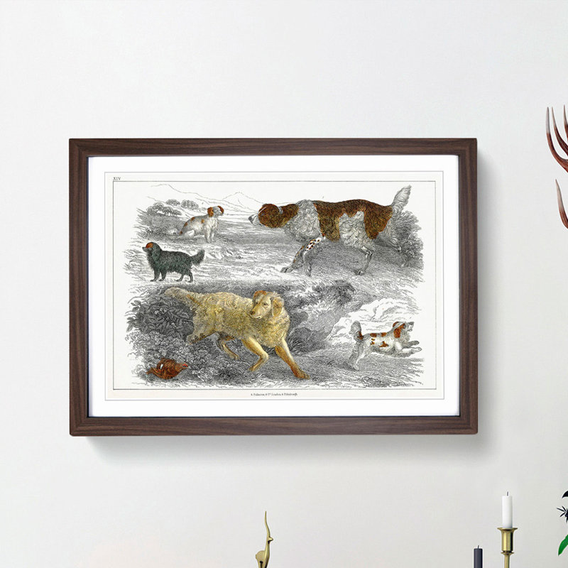 Hunting Dogs by Oliver Goldsmith - Picture Frame Painting Print, 48cm H x 65cm W x 2cm D, Walnut Framed