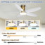 Ventilateur de plafond avec lumière DEL et télécommande-582063160