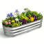 Lit de jardin surélevé 1pc