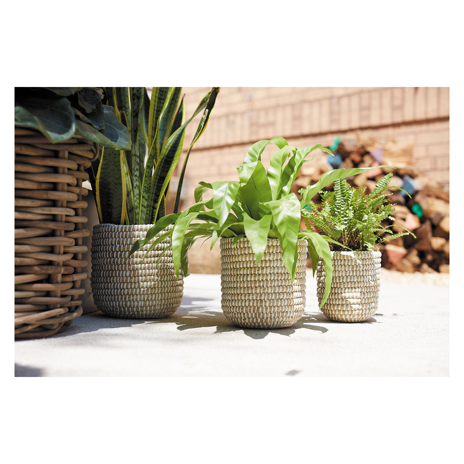 Abbs Pot Planter, 7.75" H x 7" W x 7" D