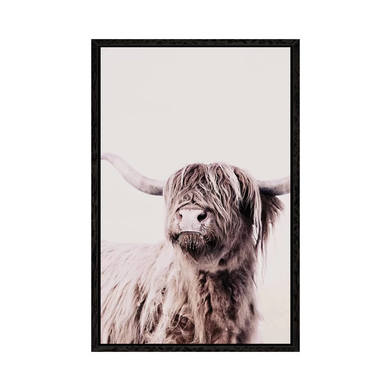 Highland Cattle Frida Creme by Monika Strigel - Print on Canvas, 66.04 cm H x 45.72 cm W, Black Framed