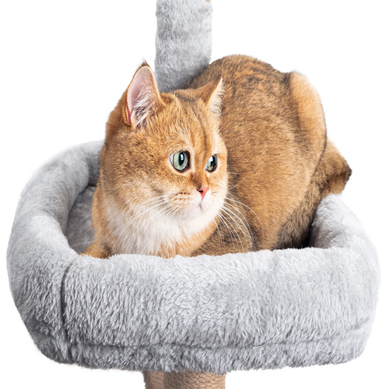 Amneris 145cm H Cat Tree