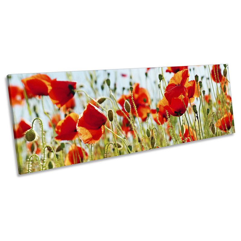 Poppy Field Floral Flowers - Wrapped Canvas Panoramic Print, 60.96cm H x 182.88cm W