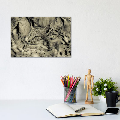 Lynx by Goran Anastasovski - Wrapped Canvas Print