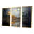 Gold Floater Framed