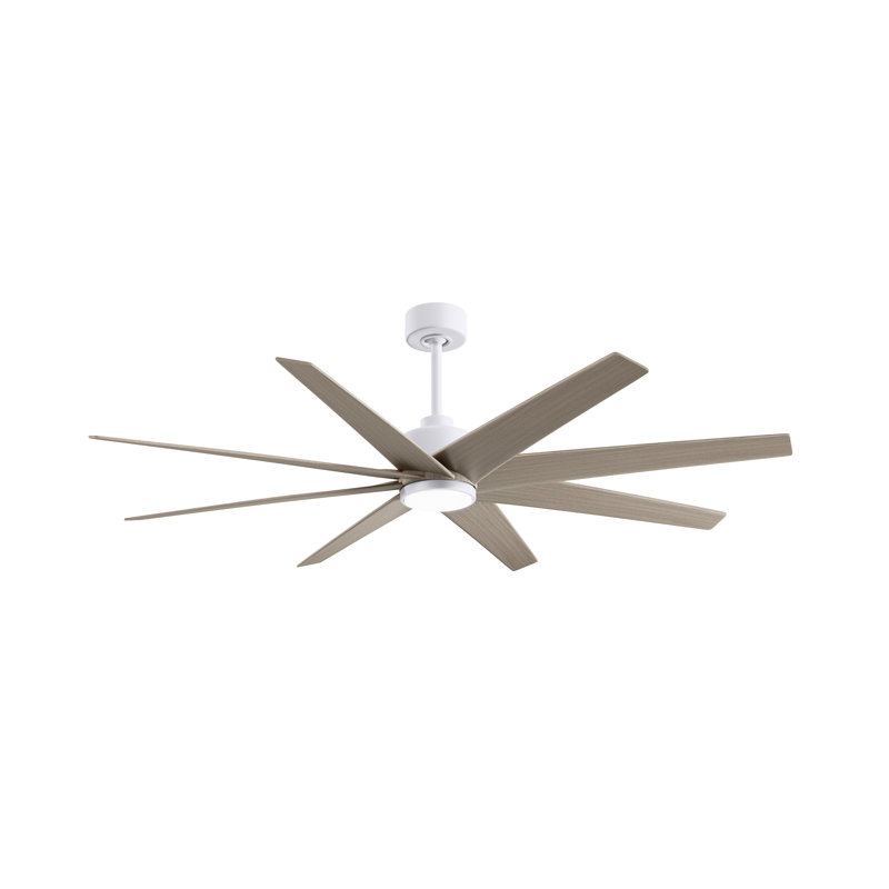 Ariella - Eight Blade Ceiling Fan - Integrated LED - Matte Black Finish - Matte White Blades, Matte White, Gray Ash Tone
