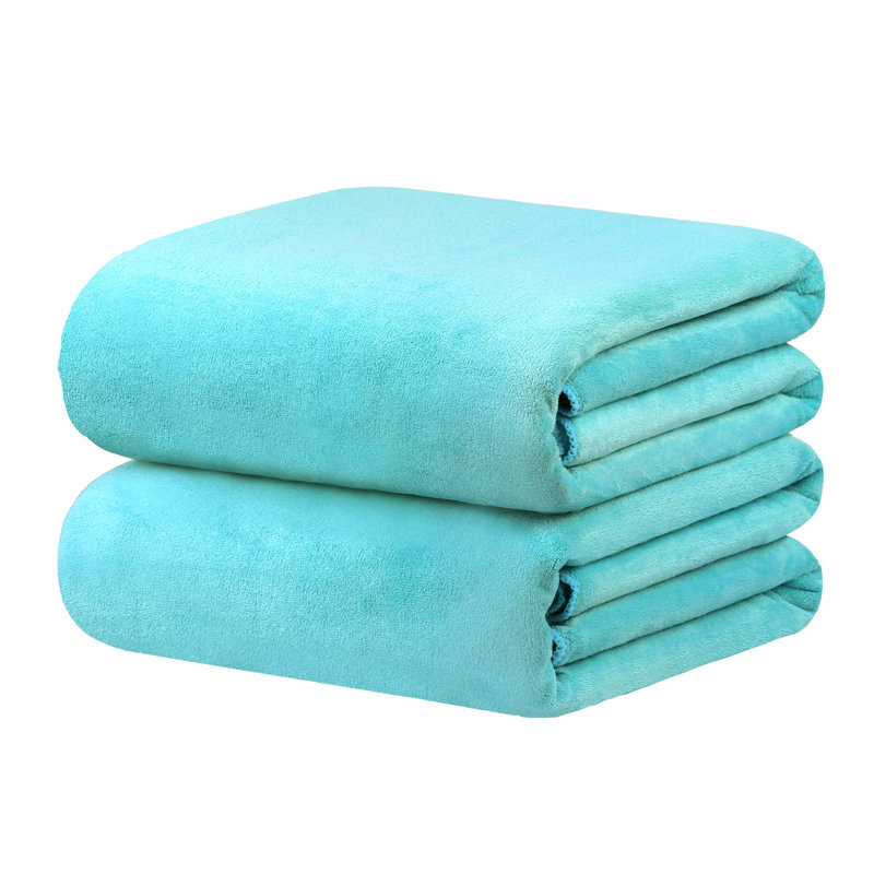Moyer Extra Absorbent Bath Sheet, Aquamarine