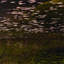 Frame of Reference by Shade Degges-1127520009