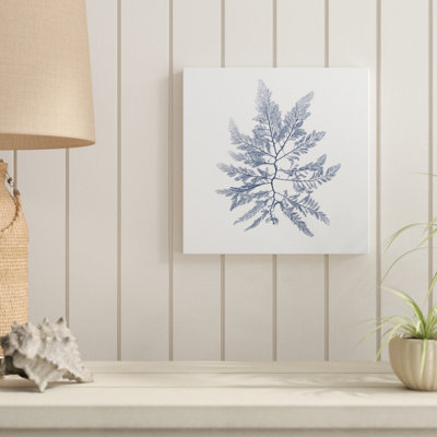 Navy Seaweed II by Vision Studio - Wrapped Canvas Painting