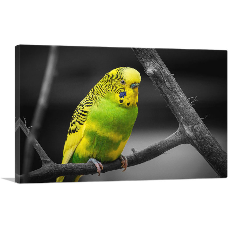 Reproduction de photo sur toile tendue, jaune et vert, H 18 po x l 26 po x P 1,5 po