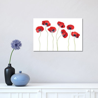 Ladybird Poppies by Mandy Disher - Print on Canvas