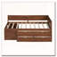 Lit de jour simple avec tiroirs et tablettes-24702569