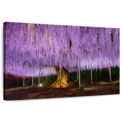 Harnek Wisteria mauve élégant