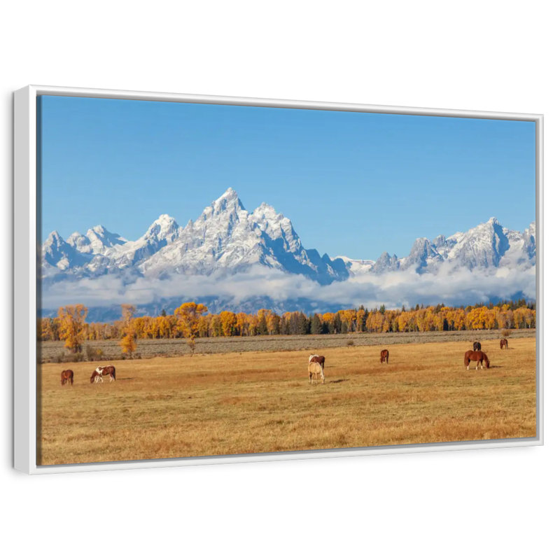 Grand Teton, scène d'automne, 19 po x 13 po, Cadre flottant blanc