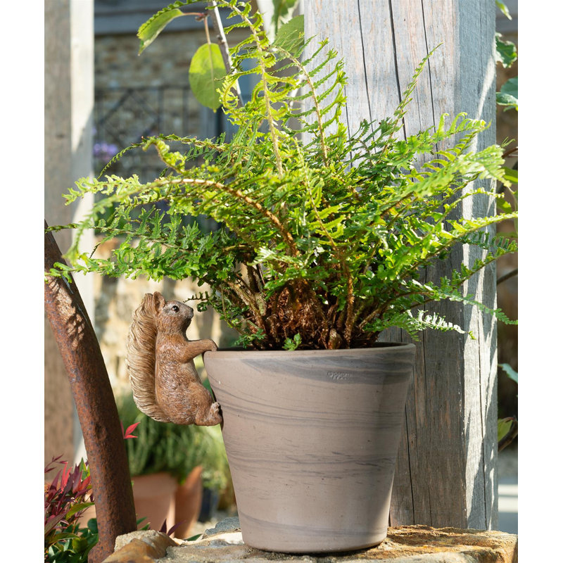 Blumenthal UV Resistant Stone Garden Statue