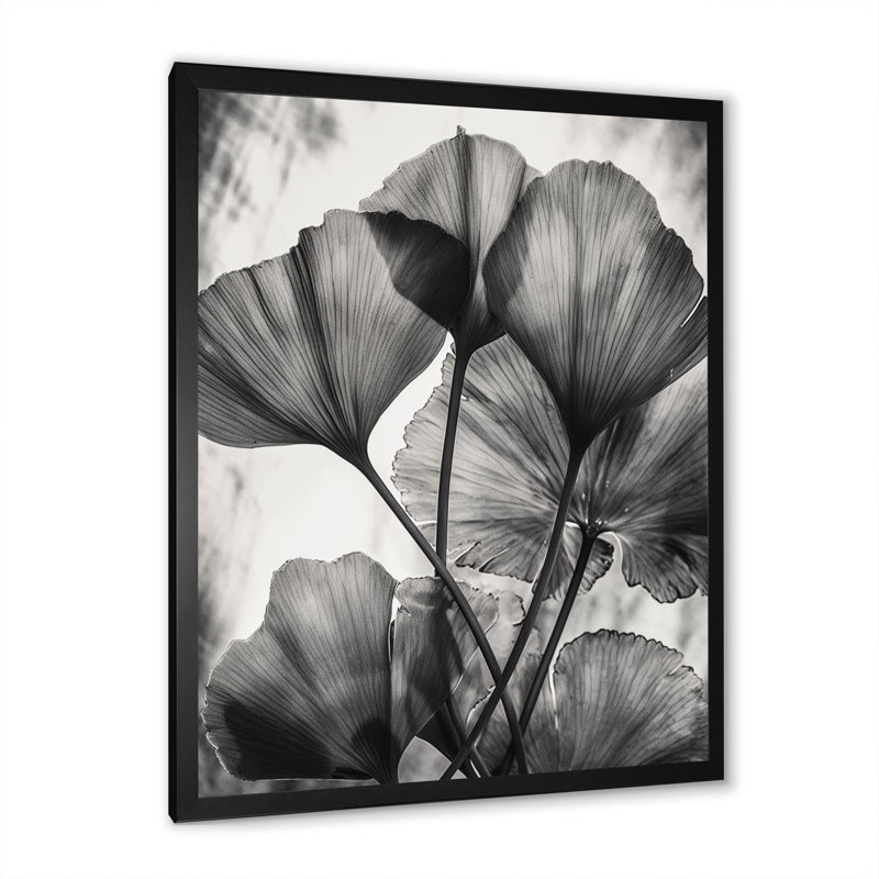 Feuilles de ginkgo tropical II - impression, Cadre photo noir, H 20 po x l 12 po x P 1 po