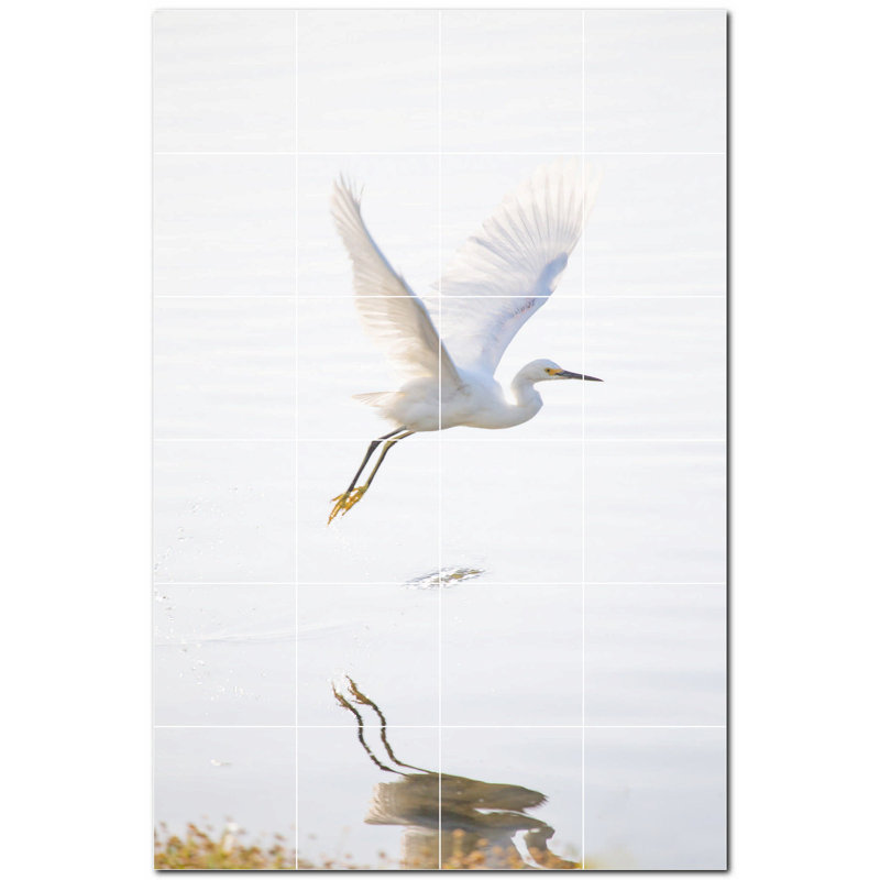 Photo d'oiseau 4,25 po x 4,25 po