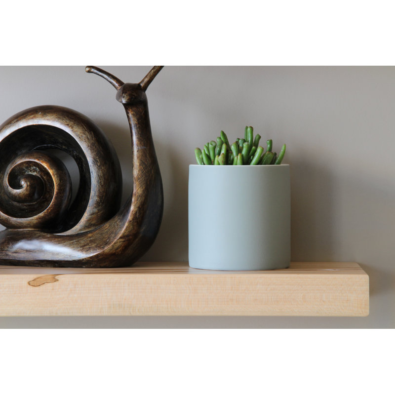 Ginny 2 Piece Maple Solid Wood Floating Shelf, 2" H x 36" W x 7" D