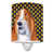 Basset hound brun de face
