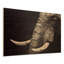 « éléphant », impression sur bois