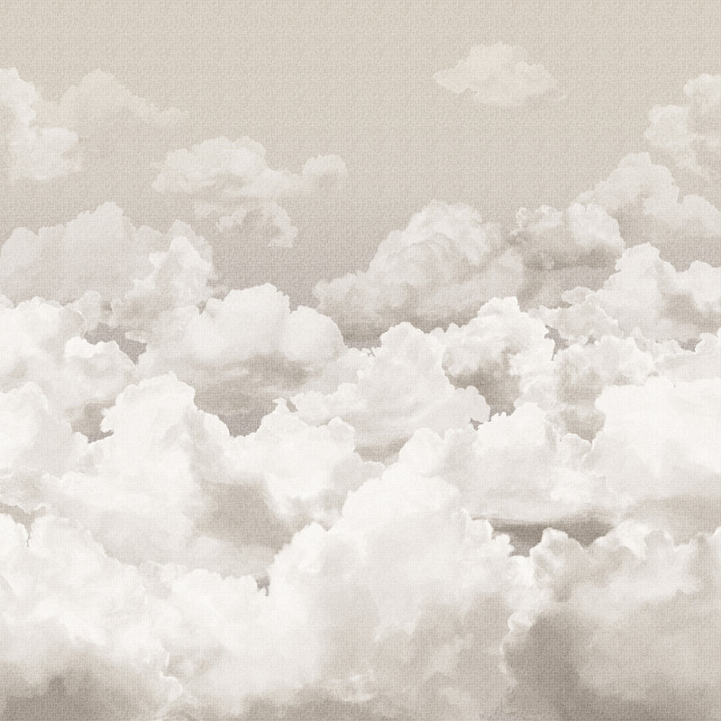 Crafted Clouds 4-Panel Wall Mural 8.8' L x 110.2" W, Taupe Gray