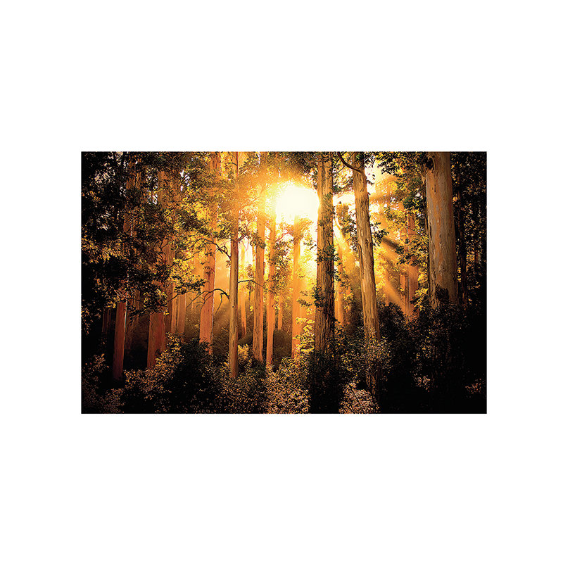 Mario Moreno - No Frame Print