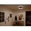 Luminaire suspendu convertible-287768887-287768886