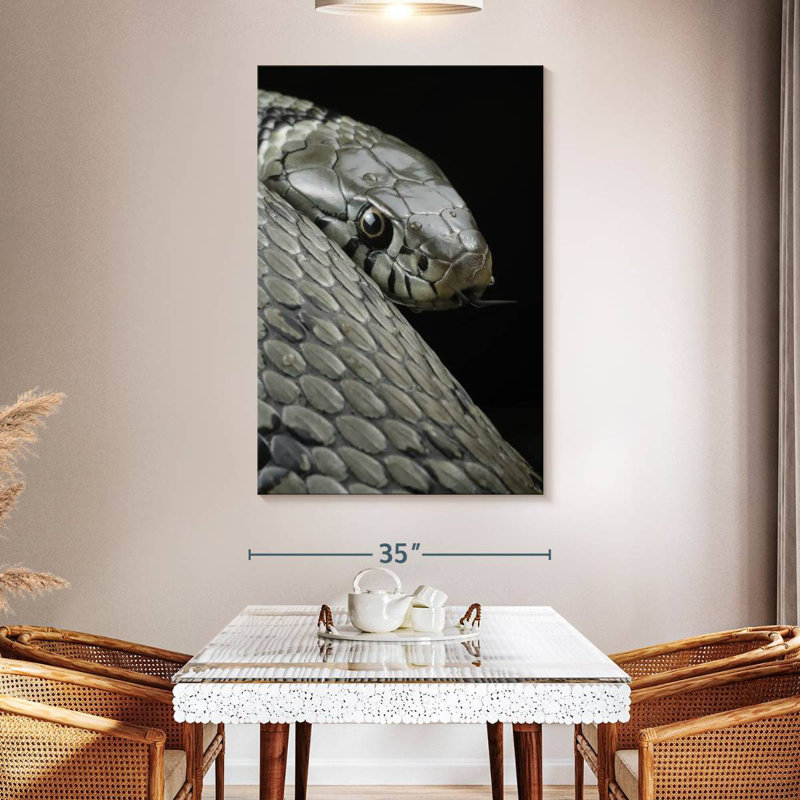 Brampt Necklace Snake, 51" H x 34" W