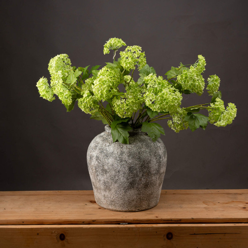 Anastasija Arrangement