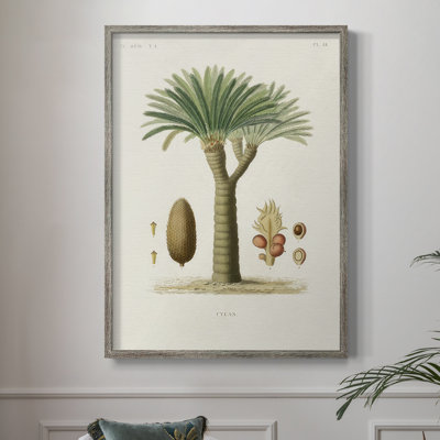 Arbre antique avec fruit, impression encadrée en V - bois massif