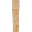 Attelle de genou Westlake-29310041-31230184-31230610
