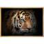 Animaux, tigre du Bengale-93629090-93629084