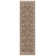 Oriental Indoor Rug