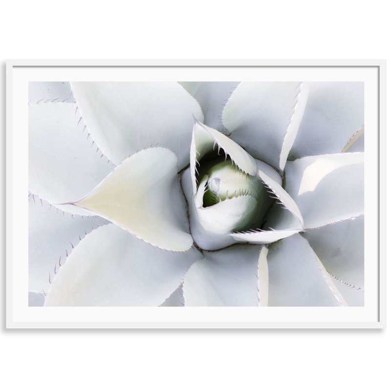 Succulent Print by Carly Tabak, 25" W x 18" H, White Wood