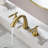 2-handle Bathroom Faucet-73819815
