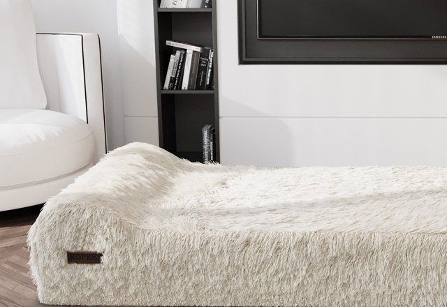 Dog Beds You'll Love